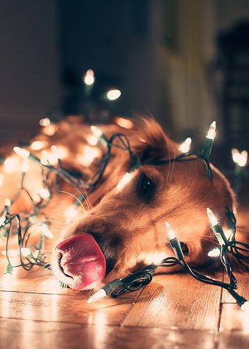 ee05feee7083342b0d69aa874312faec